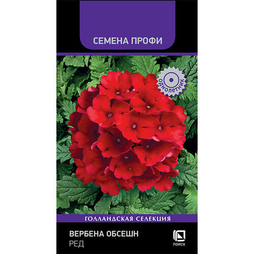 ���� ������ ������� ��������� 10��