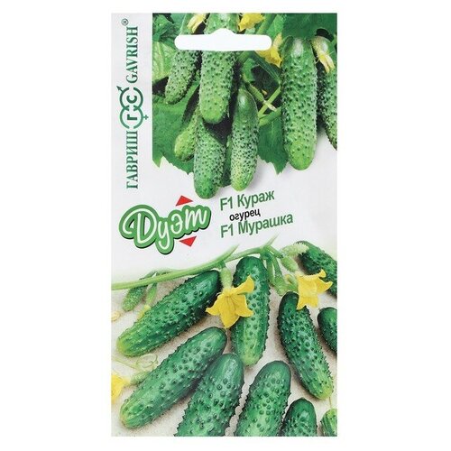 ���� 1��. ����� ����� ������ ����� F1, 10�� � ������ ������� F1, 10�� ������, ����