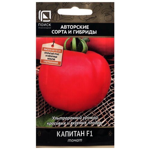 ���� ������ ����� ����� ������� F1 12 ��.