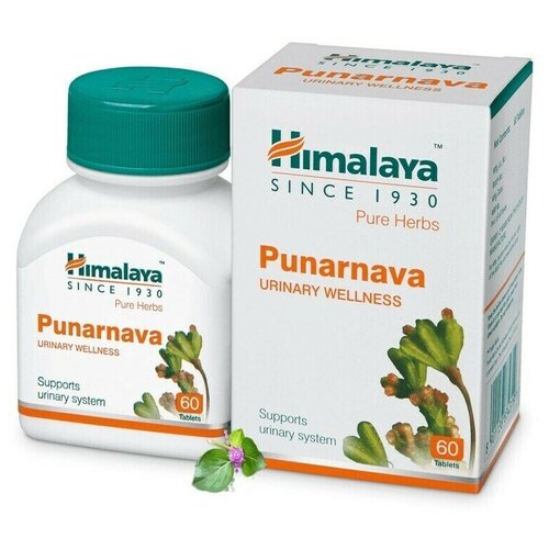    Himalaya Wellness Pure Herb 60 .  -     , -  