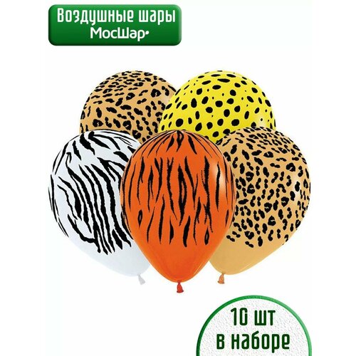 ���� ������������/10��