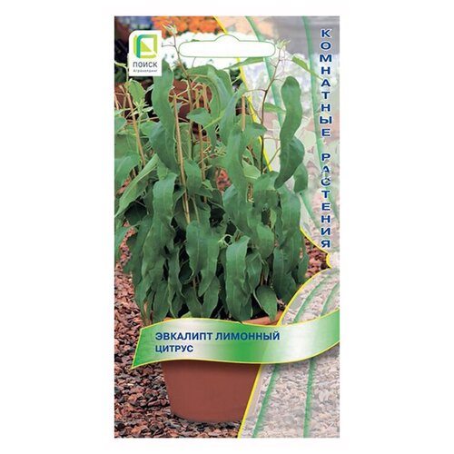 ���� ������ ��������� ����� �������� ������ 5 ��