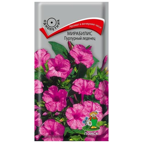 ���� ��������� ��������� �������