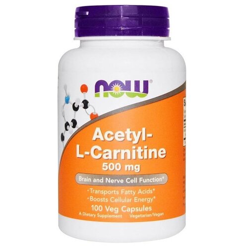   Acetyl-L Carnitine ., 500 , 200 , 100 , 100 .  -     , -  