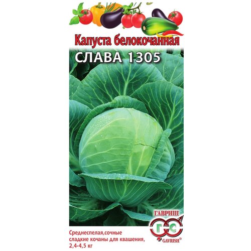 ���� ������ ������ ������� ������������ ����� 1305 0,5 �