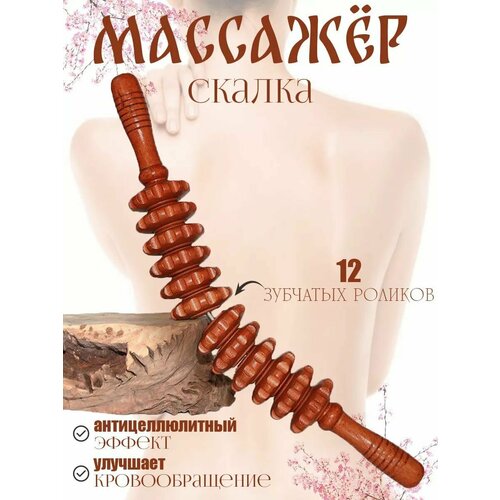 ���� �������� ��� ���� ������������ ���������� ��������� ������ 12 ������� ����������