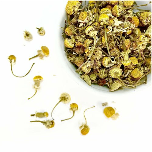 ���� ����� ����� ������� (��������, �������, ������������, ���������, �������), �����, 250 ��