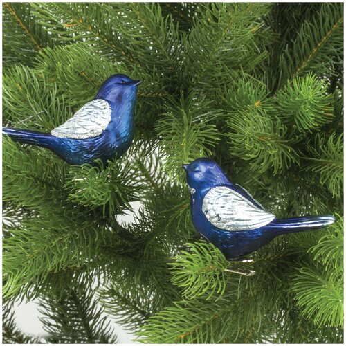 ���� ��������� ������� 