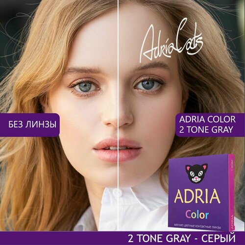     ADRIA Color 2 tone, 2 ., R 8,6, D -8,5, gray, 1 .  -     , -  