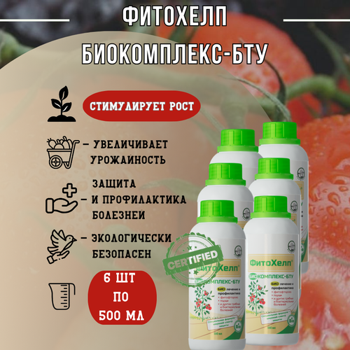 ���� �������� �����������-��� 500 ��, 6 ��