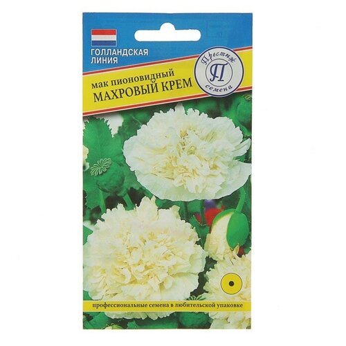 ���� ������ / ������� ������/ ������ ����� ��� ����������� �������� ����