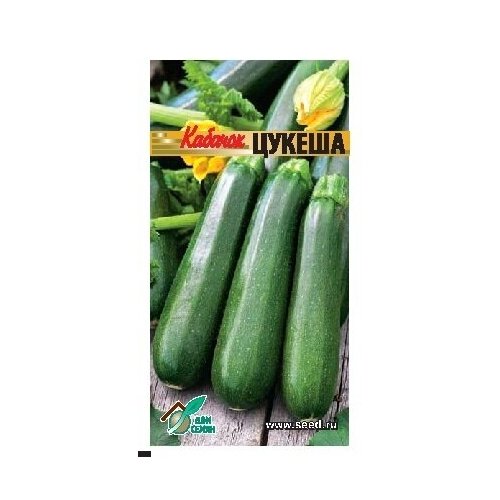 ���� ������� ������, 12 �����