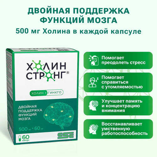 ���� ����� ������ ������� 0,588� 60��