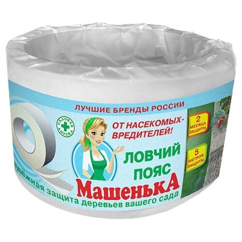 ���� ������ ���� 