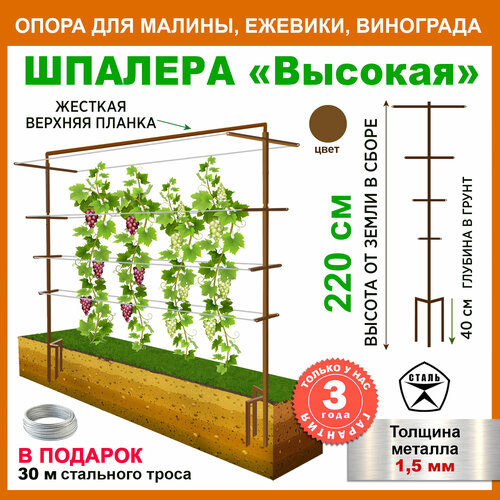 ���� �������, ����� ��� ��������