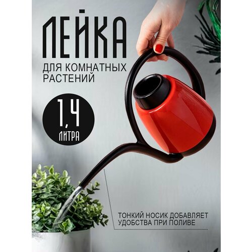 ���� ������� ����� 1,4 �, ������/�������