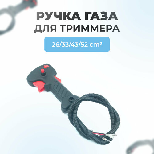���� ����� ���� ��� ��������