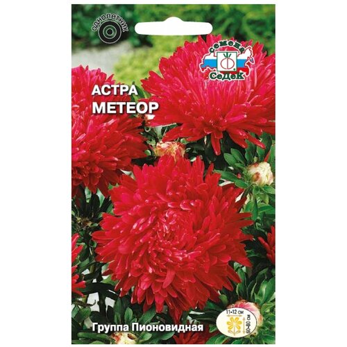 ���� ������ ����� ����� ������