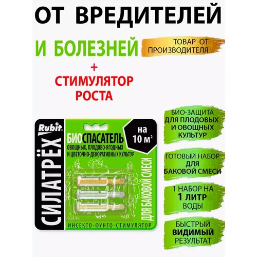 ���� �������� ������ ��������