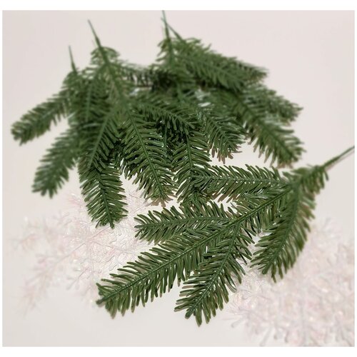 ���� ����� ������ 10 ��. �� ������������� ����� . �������� �������. ���� ������, 5 ��� ������ ����������. ������ 29 ��.