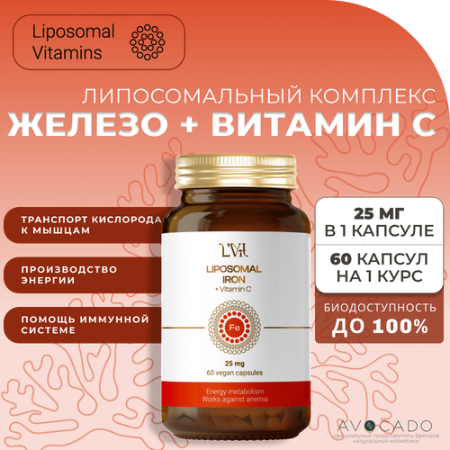   Liposomal Vitamins    +  C, 60   -     , -  