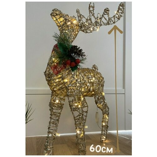 ���� ��������� ���������� 