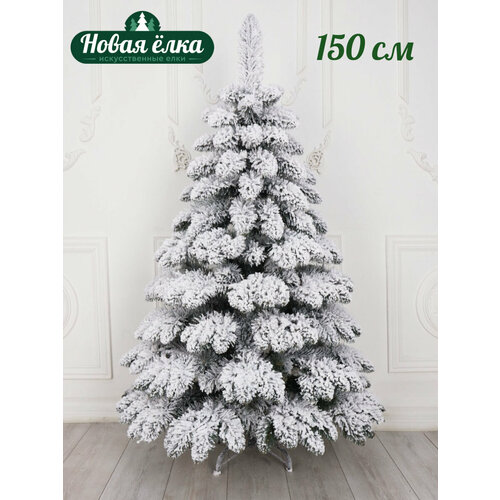 ���� ��� ������������� 