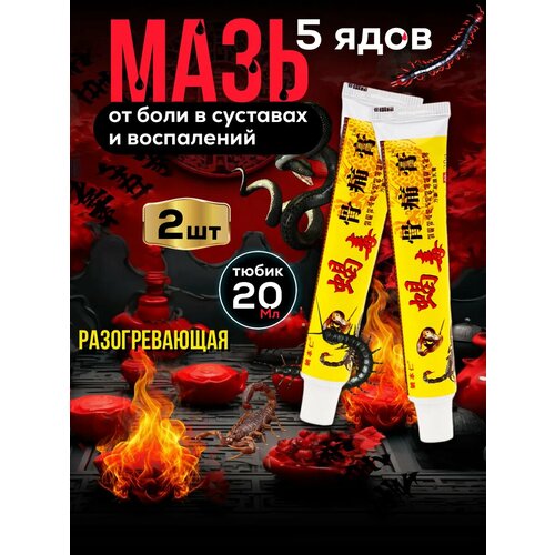 ���� ��������� ���� ��� �������� �� ���� GUTONG GAO 2��