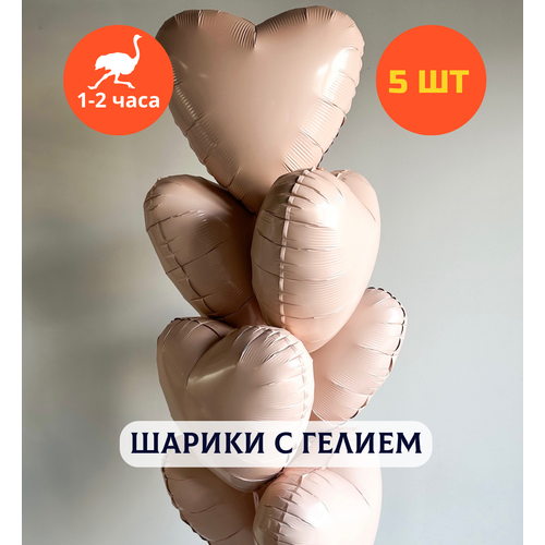 ���� ������ ��������� �� ���� ��������, ��������� ���� � ������, ���� � ���� ��������, ����� ����� ��� ������� 