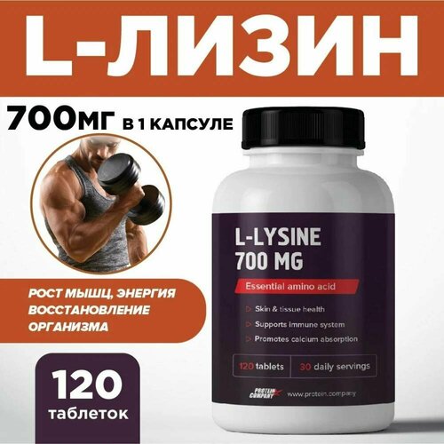    700 .    .    , ,  .  . l-lysine, 120 ,    -     , -  