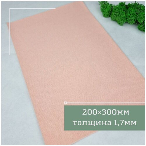 ���� �������� ���������, Fresco 300?200?1.7 ��.