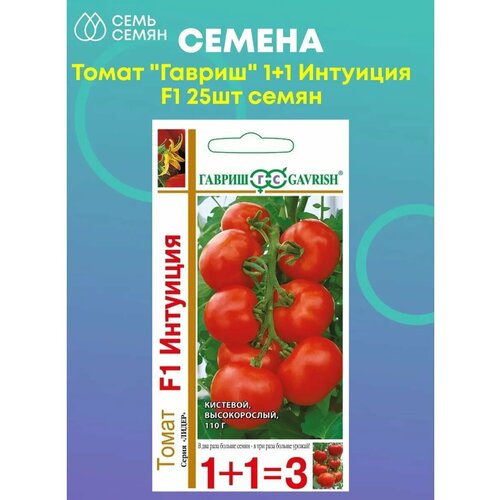 ���� ����� 