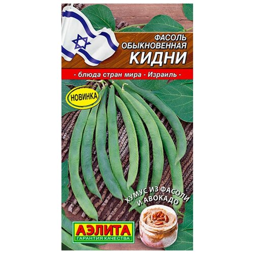 ���� ������. ������ ������������ 