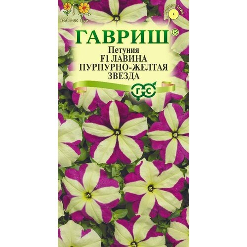 ���� ������ ������� ������ F1 ��������-������ ������ ��������� 7�� ��� 100�� (������)