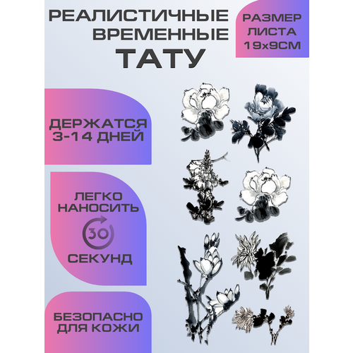 ���� ���� ���������� ��������������, ��������� ����