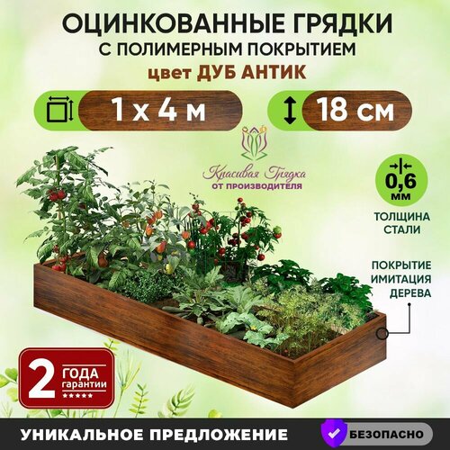 ���� ������ ������������ 