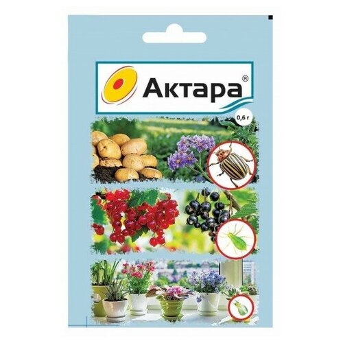 ���� �������� �� ���������� 