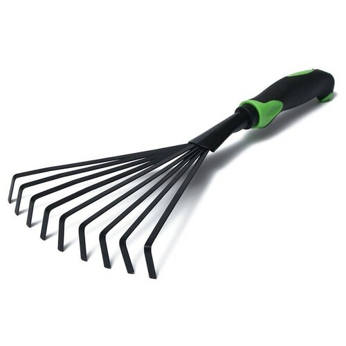 ���� ������ �������, ������������, ����� 37,5 ��, ����������� �����