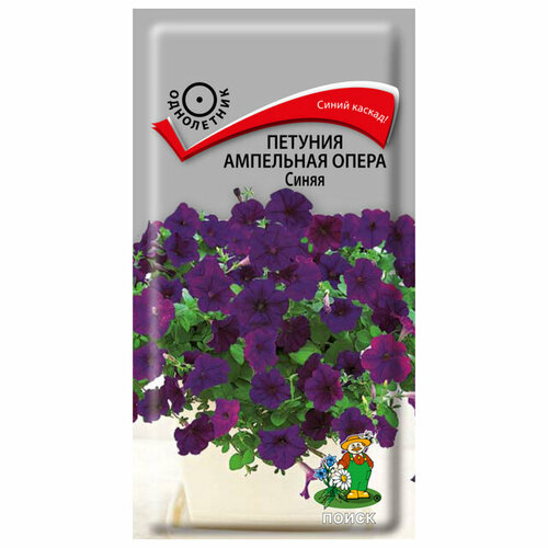 ���� ������ ������� ����� ��������� ����� ����� 2 � 5 ��