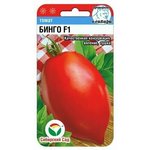 ���� ������ ����� ����� F1 15�� ����� ������ (��������� ���)