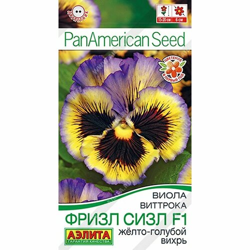 ���� ������ ����� ����� ���� F1 �����-������� ����� ����. , ���������, (������) 5�� PanAmerican