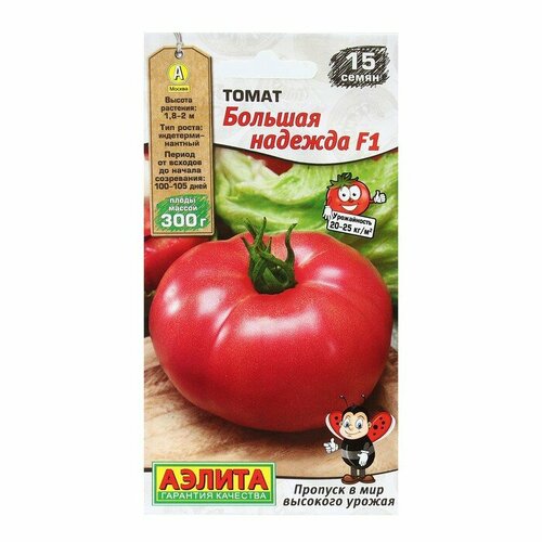 ���� ������ ����� ������� ������� F1 15�� ����� ������ (������)