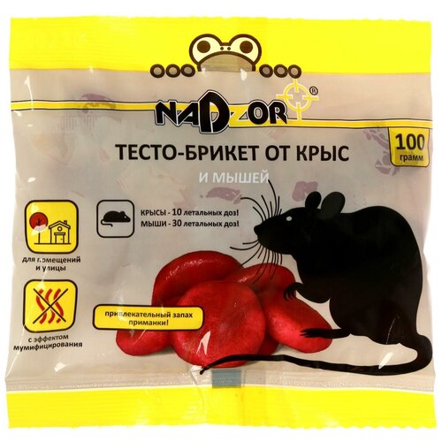 ���� �����-������ �� ���� � ����� NADZOR, 100 ��