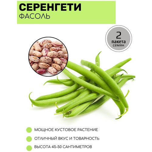 ���� ������ �������� ��������� ��������� F1 2 ������ �� 5� �����