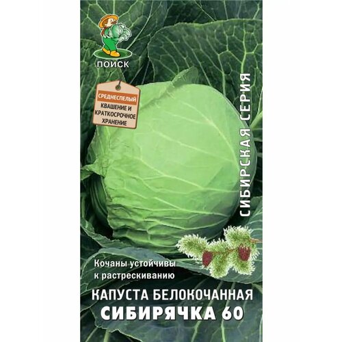 ���� ������� �/� 