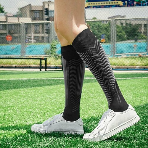 ���� ������ �������������� Filorosso �����, ������, ������ 2