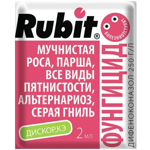   Rubit     , 2 , 2   -     , -  