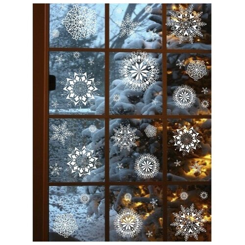 ���� ���������� ����������� �������� VEROL 