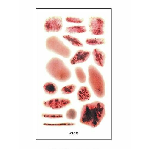 ���� ���������� ��������� ���� ����� � ���� �� �������� / 10 � 6 �� ����