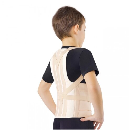 ���� ��������� ������ ORTO �� 110 �������, ������ M, ������ 39 ��, �������